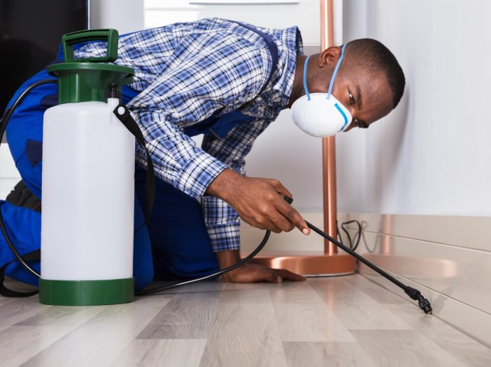 professional pest control